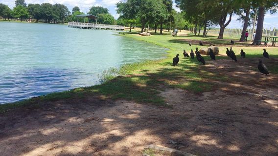 Mary Jo Peckham Park