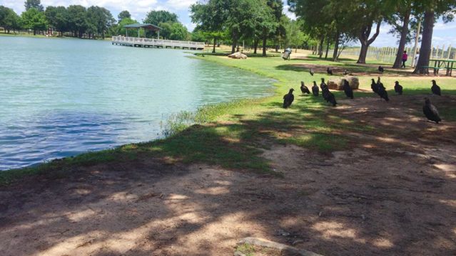 Mary Jo Peckham Park