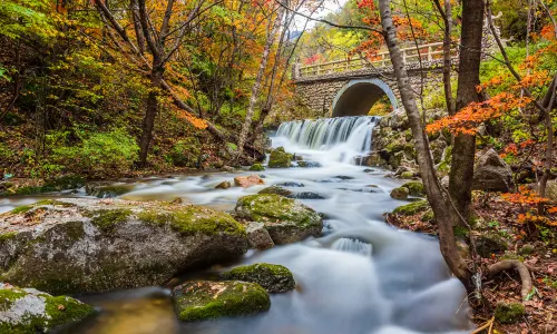 Dabinggou Forest Park