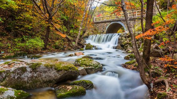 Dabinggou National Geological Forest Park