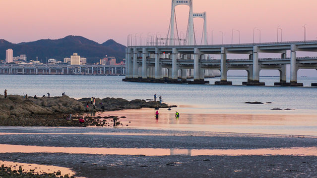 Beachcombing in Dalian