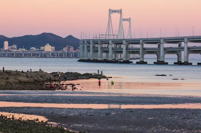 Beachcombing in Dalian