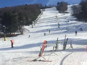 Tussey Mountain Ski and Recreation