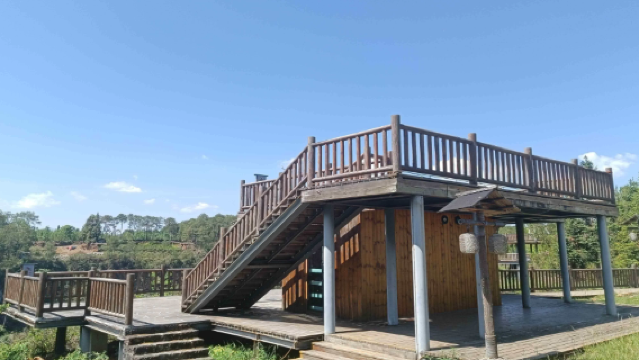 Tengchong Ginkgo Village Scenic Area - Viewing Platform