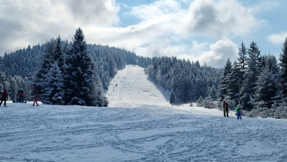 「ロリンスジグモンド」パルティスキーコヴァスナ