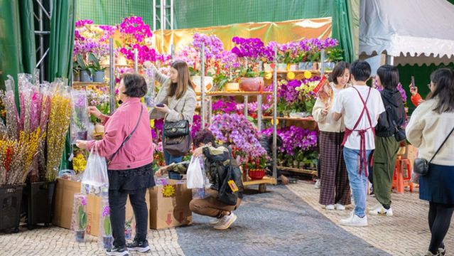 Chinese New Year Market 2026