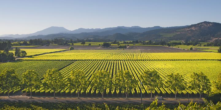 Napa Valley