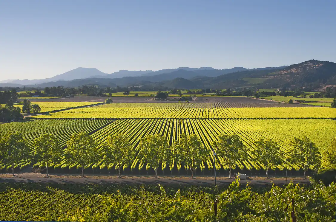 Hotels near Napa Valley