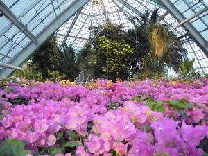Hakodate Tropical Botanical Garden