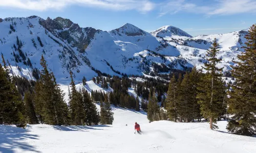 Alta Ski Area