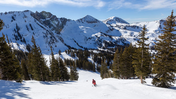 Alta Ski Area