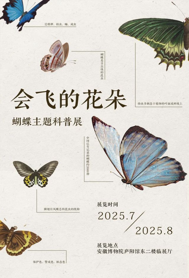 《 hui fei de hua duo 》 hu die zhu ti ke pu zhan | Hefei