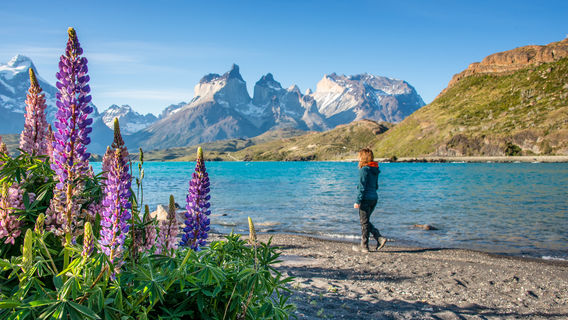 Explorado Patagonia