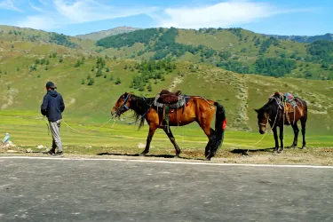 Altay City
