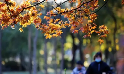 Jinan Zoo