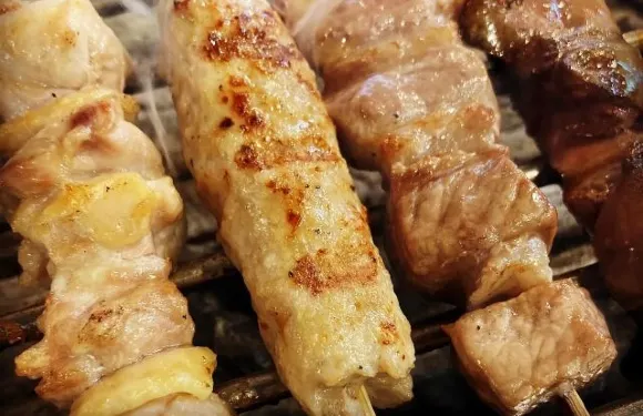 Charcoal Grilled Yakitori Tomarigi