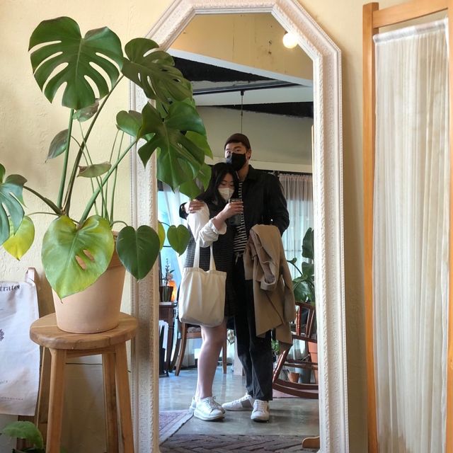 혜화동 브라운 애비뉴
