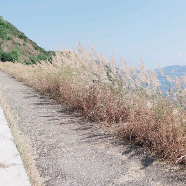 易行路線：大尾篤入船灣淡水湖