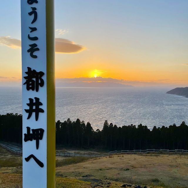 野生の馬が歩いてる"都井岬"