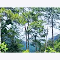 Eurad Pingping Peak

