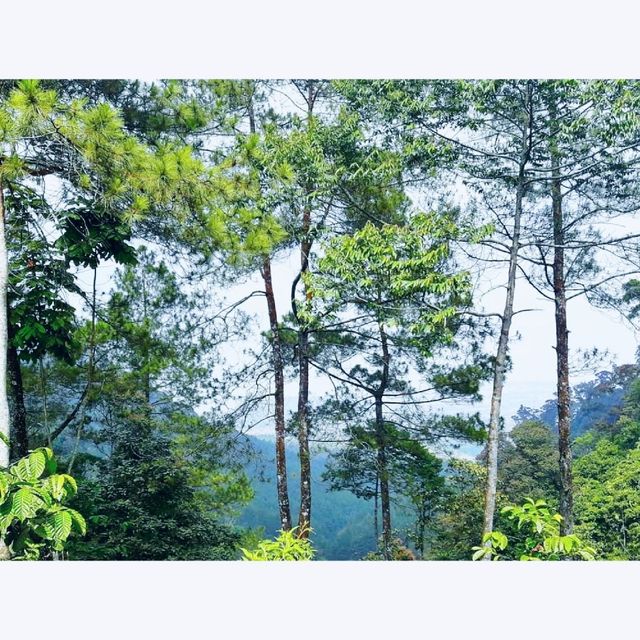 Eurad Pingping Peak

