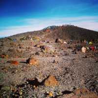 The Sacred Volcano Merapi