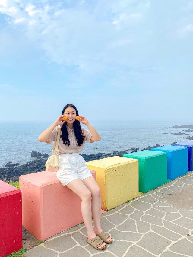 365일 무지개가 뜨는 제주도