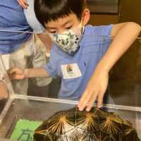 到香港挪亞方舟來一趟亞馬遜森林的僞旅行