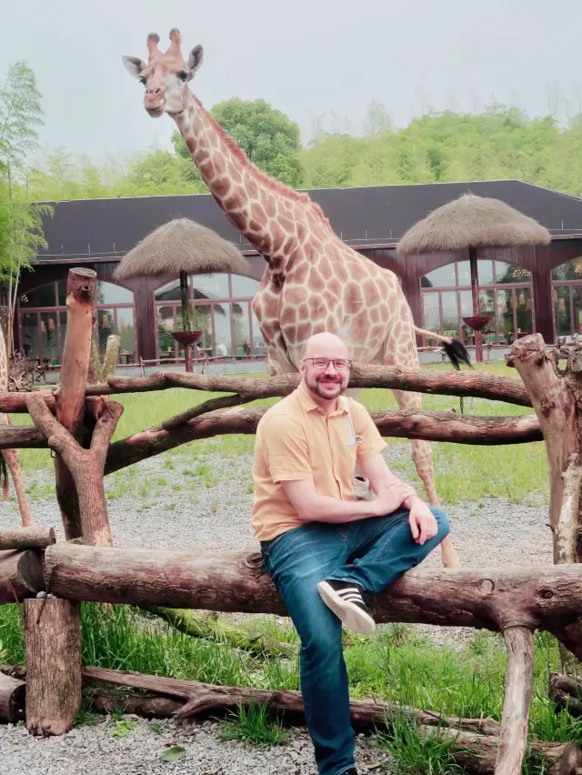 Huzhou Giraffe Park: A Fun Little Zoo