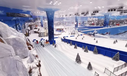Happy Snow Park