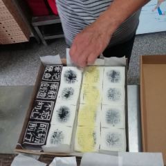 SHU JI SHI PIN LIANG LONG DA GAO User Photo