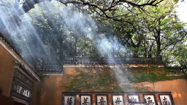 普陀山景區【單訂導遊】地陪導覽· 一單一團· 1天專業導遊服務