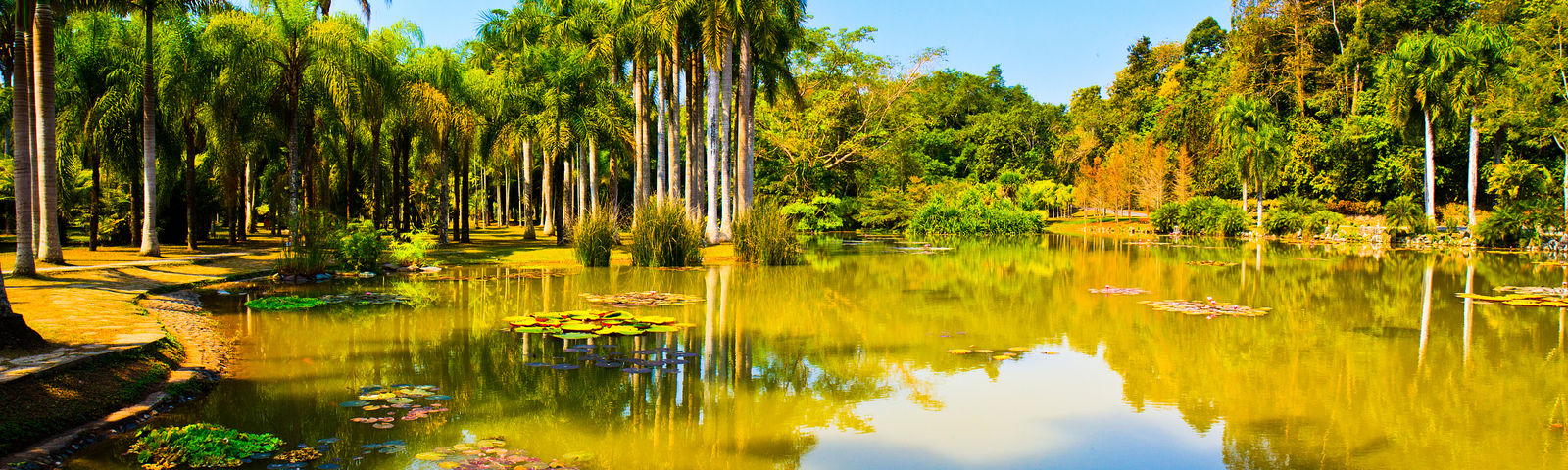 MenglaTravel services