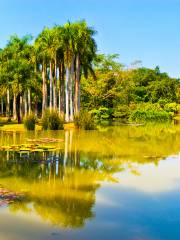 Xishuangbanna Tropical Botanical Garden, Chinese Academy of Sciences