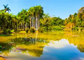 中国科学院西双版納熱帯植物園