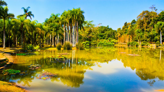 Xishuangbanna