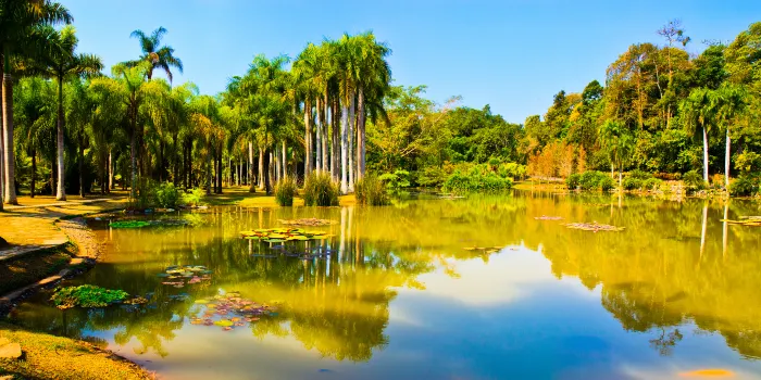 Xishuangbanna Tropical Botanical Garden image 1