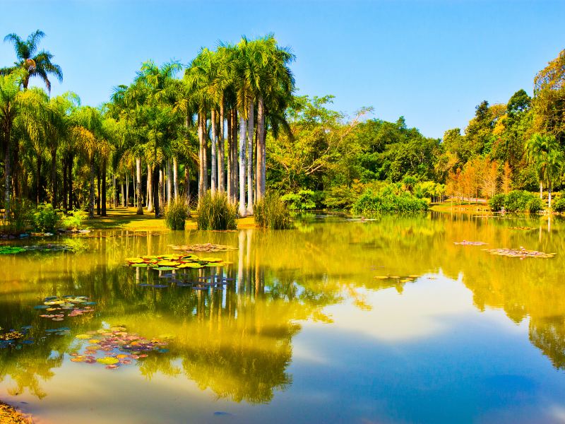 중국과학원 시솽반나 열대 식물원(중과원 써쌍판납 열대식물원)