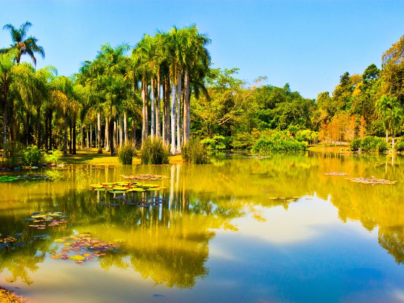 中科院西雙版納熱帶植物園