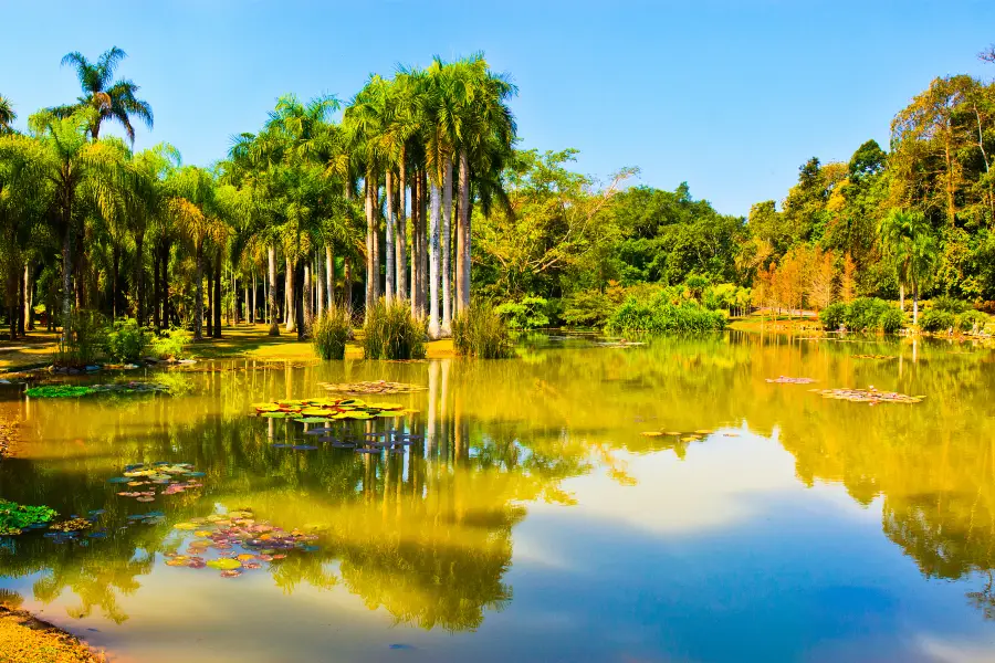 中国科学院西双版納熱帯植物園