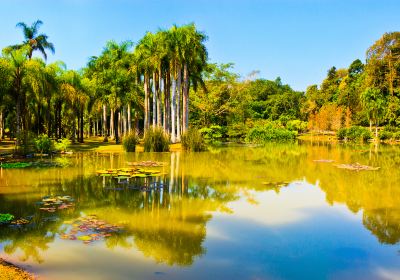 中国科学院西双版納熱帯植物園