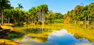 Xishuangbanna Tropical Botanical Garden