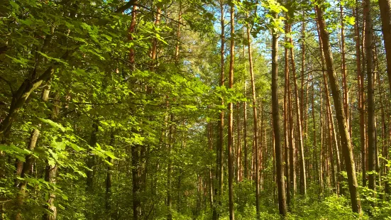 Danongdafu Forest Park