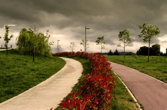 Hotels near Beishan Park