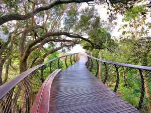 Xiaotianqiao Forest Park