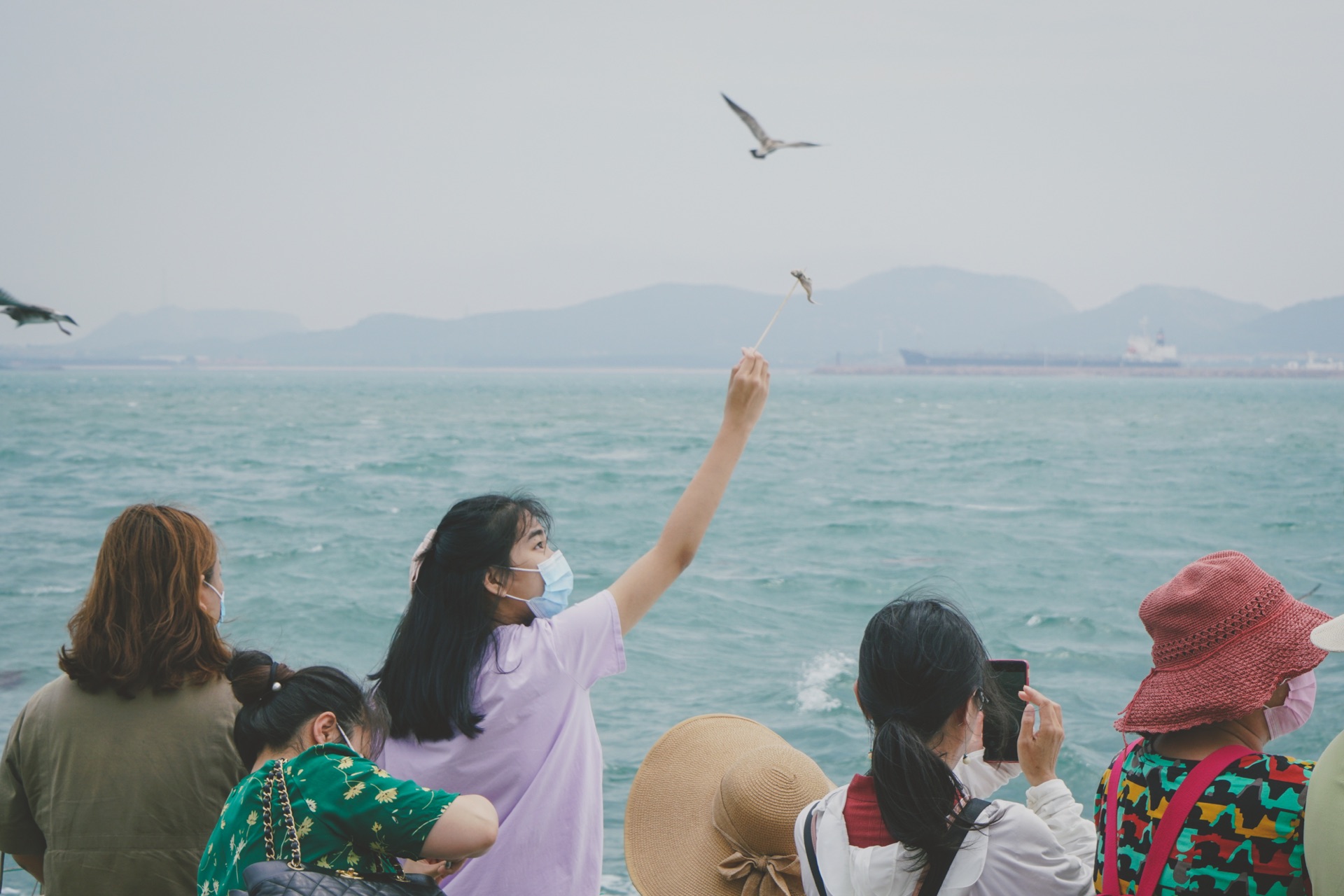 海驢島旅遊攻略指南 海驢島評價 海驢島附近推薦 Trip Com