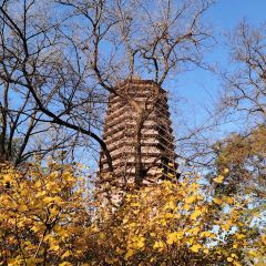 DaDong Roast Duck (Fucheng Road) User Photo