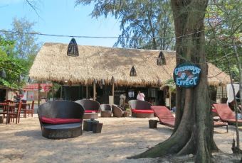 Greenhouse Effect User Photo