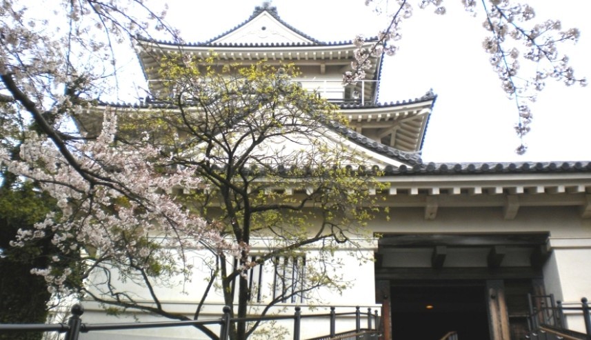 小田原城旅遊攻略指南 小田原城評論 小田原城附近推薦 Trip Com