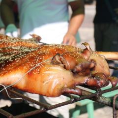 Silianhongtangsiwawa (hongtongcheng) User Photo